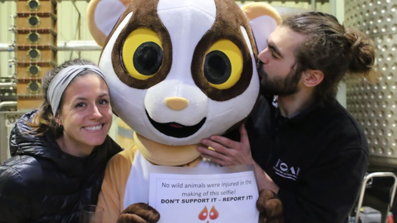 Two people standing beside someone in a Slow Loris costume